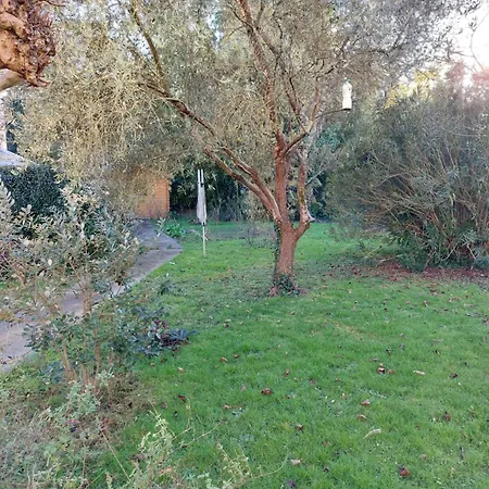 Jardin Dangla Agen