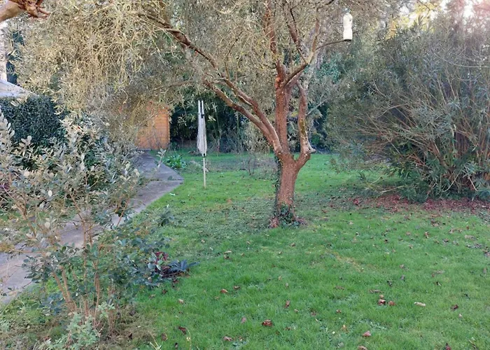 Jardin Dangla Agen